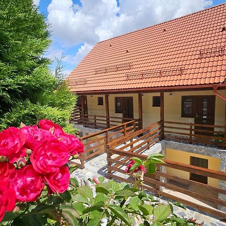 Matei Residence Брашов Екстер'єр фото