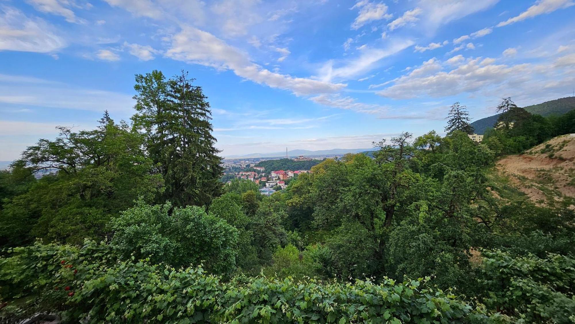 Matei Residence Брашов Екстер'єр фото