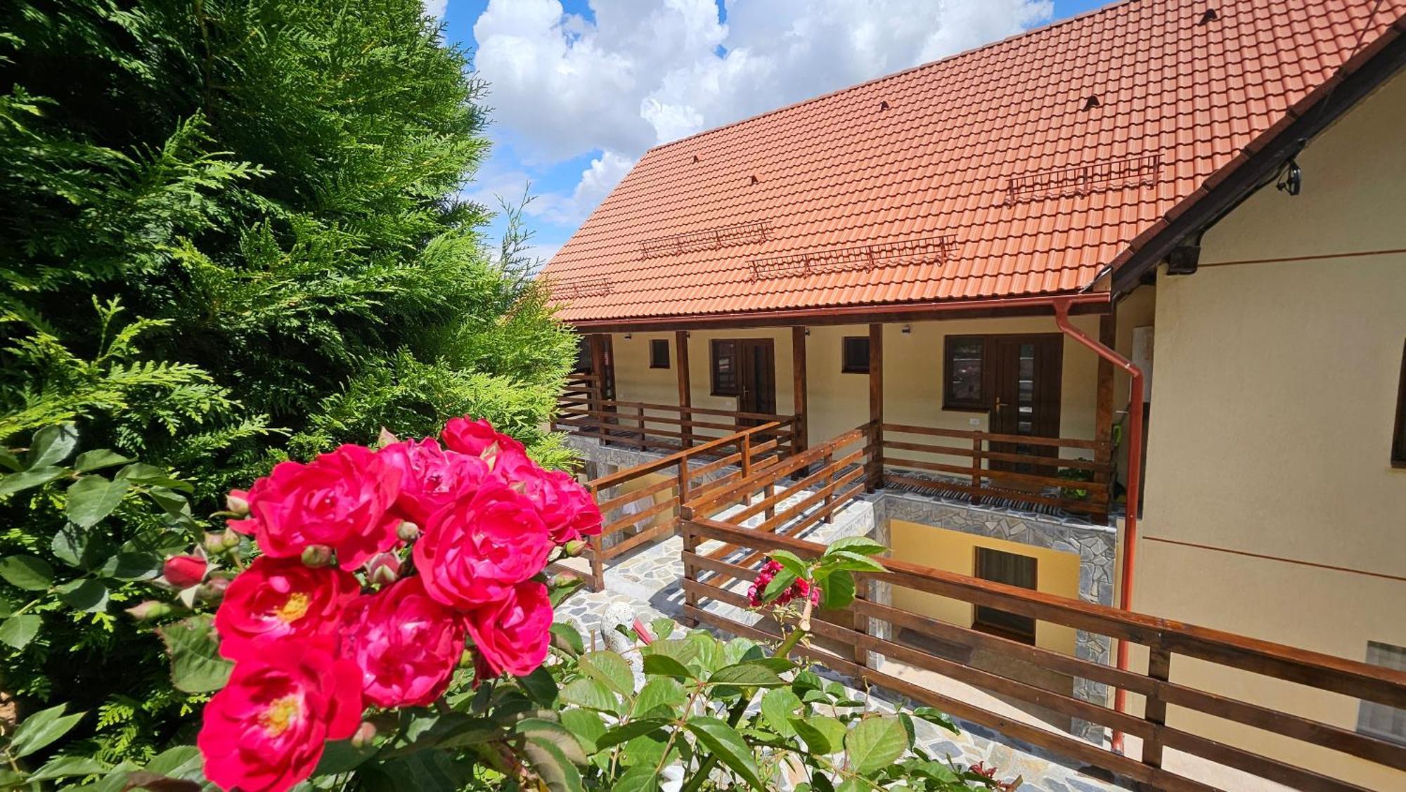 Matei Residence Брашов Екстер'єр фото