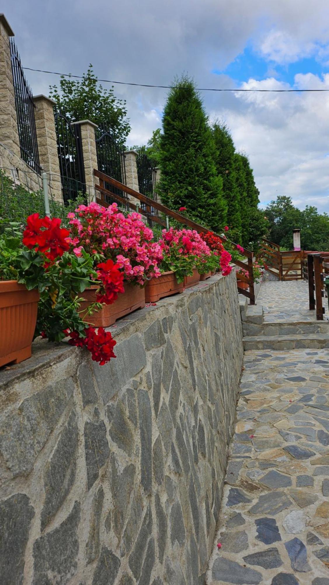 Matei Residence Брашов Екстер'єр фото