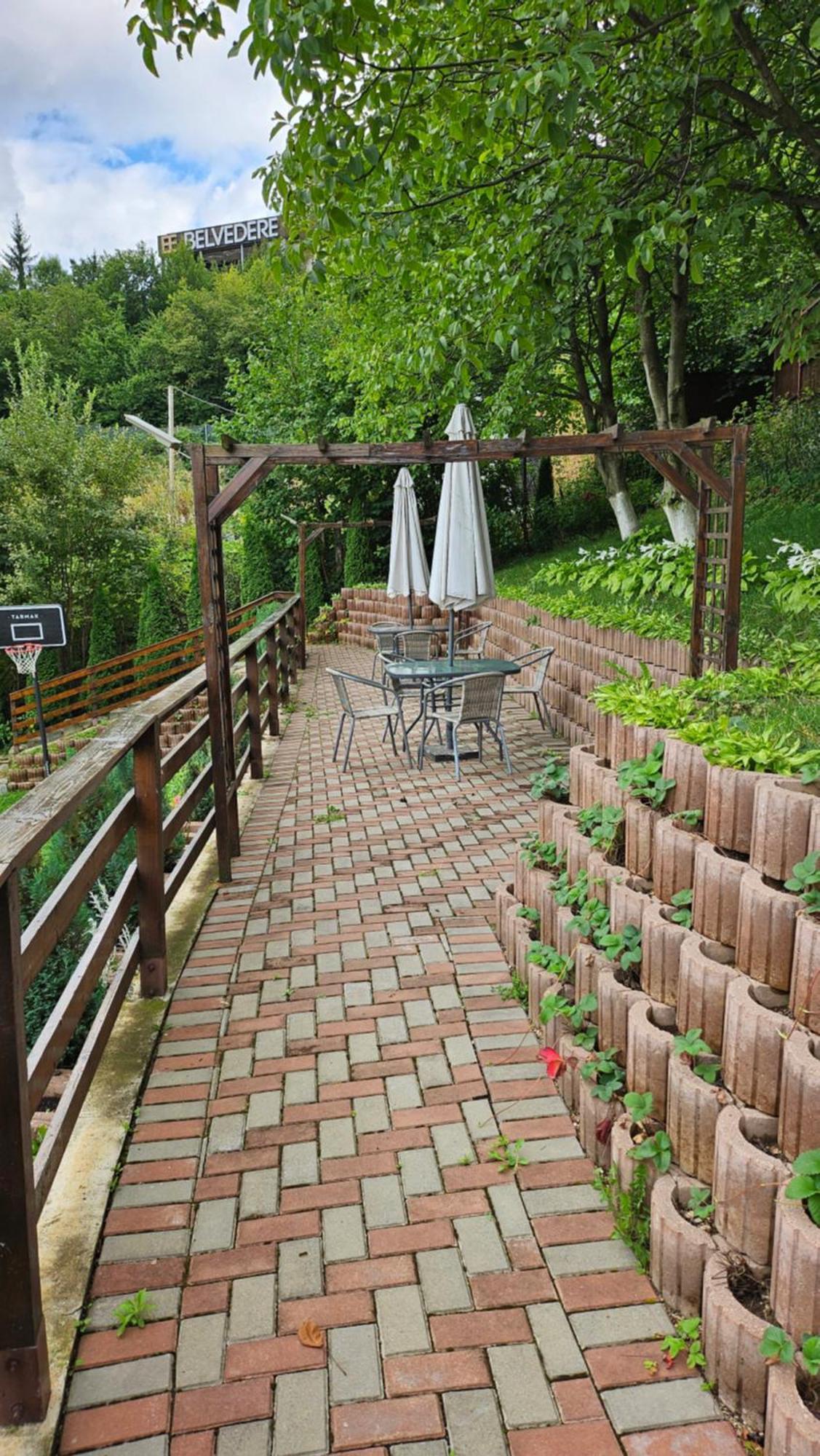 Matei Residence Брашов Екстер'єр фото